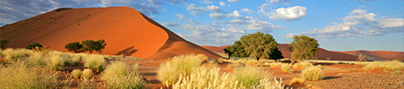 namibia desert