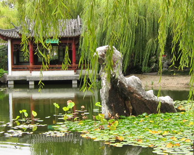 chinese garden sydney