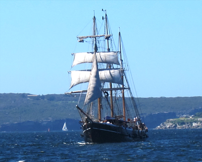 sailing ship sydney harbor