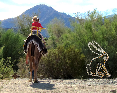 living desert zoo palm springs camel rides
