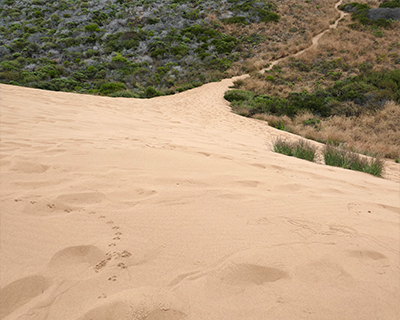 sand dunes morro bay