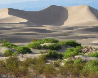 mesquite san dunes death valley california