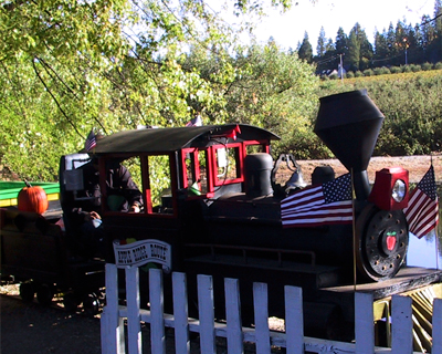 apple hill california miniature railroad