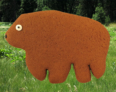 yosemite bear cookie