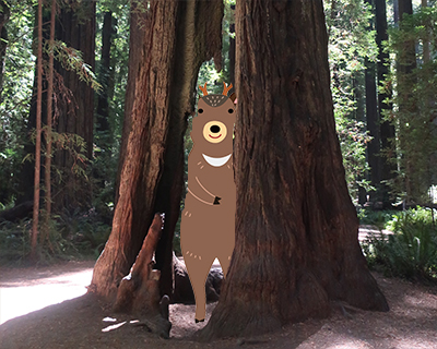 goosepen redwood walk through it