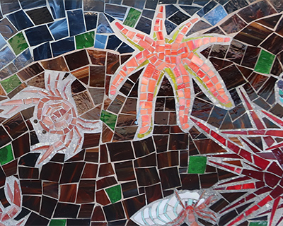 mosaic bodega bay california