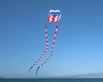 july 4 kite flying bodega bay california