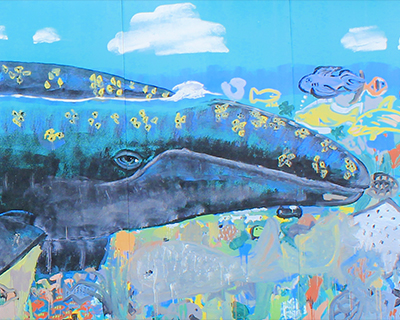 la jolla birch aquarium gray whale mural