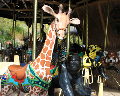 san diego zoo safari park animal carousel
