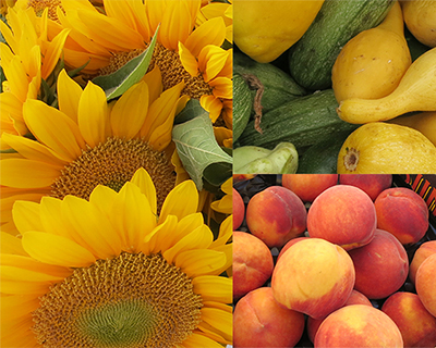 california wine country farmers markets flowers fruit vegetables