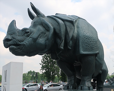 musee dorsay rhinoceros status