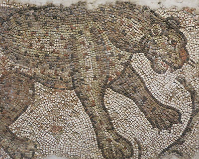 art institute chicago leopard byzantine mosaic