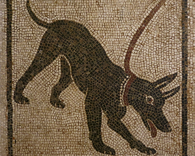 beware the dog mosaic pompeii naples museum