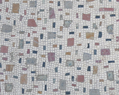 oplontis villa poppea floor mosaic