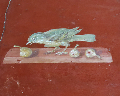 oplontis villa poppea corridor painting bird eating fruit