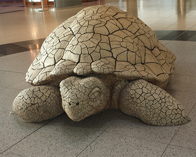 las vegas airport tortoise sculpture