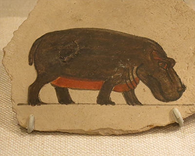 new york metropolitan museum art hippo sketch
