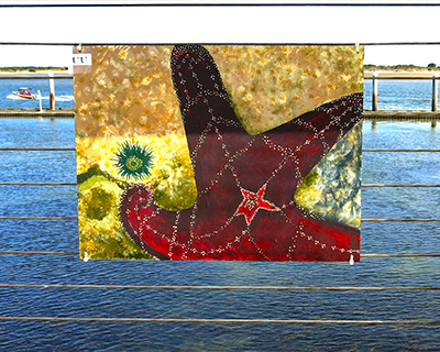 bandon sea star painting