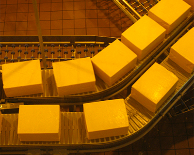tillamook cheese factory  oregon coast