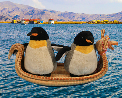 lake titicaca pengos reed boat