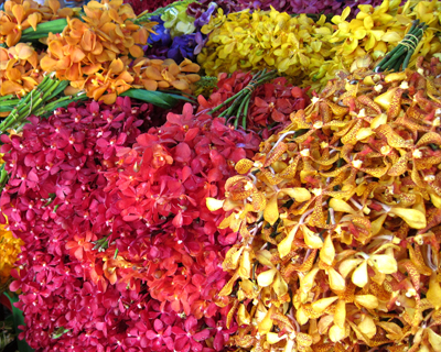 thailand bangkok flower market