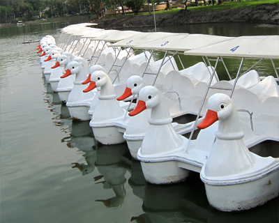 thailand bangkok lumphini park pedal boats