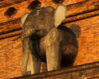thailand chiang mai elephants chedi luang