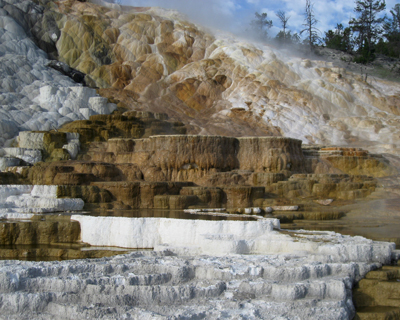 wyoming yellowstone mammoth hot springs