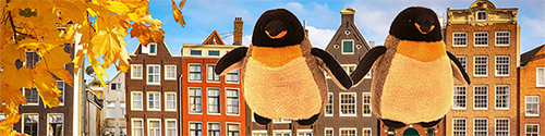 pengos in amsterdam