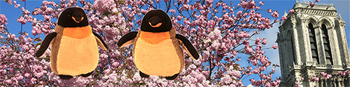 two penguins stuffed animals notre dame spring paris